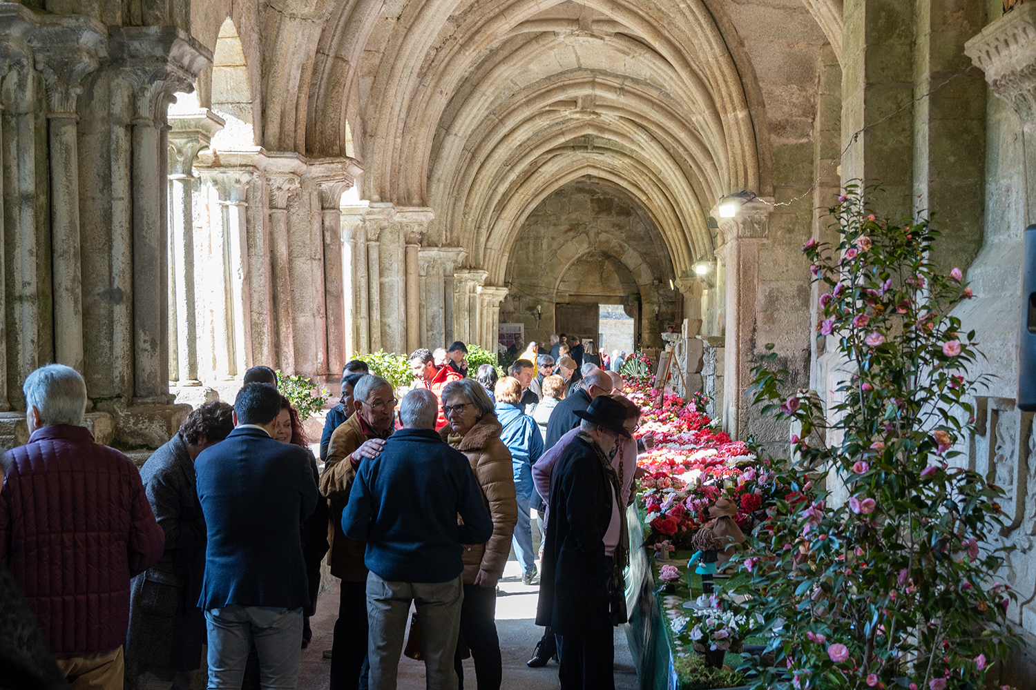 19012024 Mostra Camelia (4)