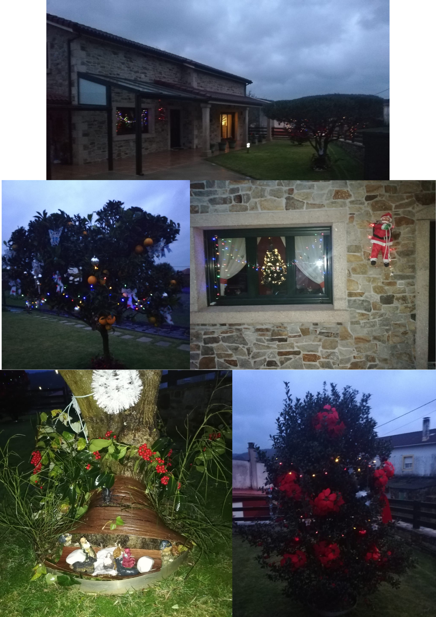 1º Premio Xurado Concurso Fachadas (Estrella Calviño)