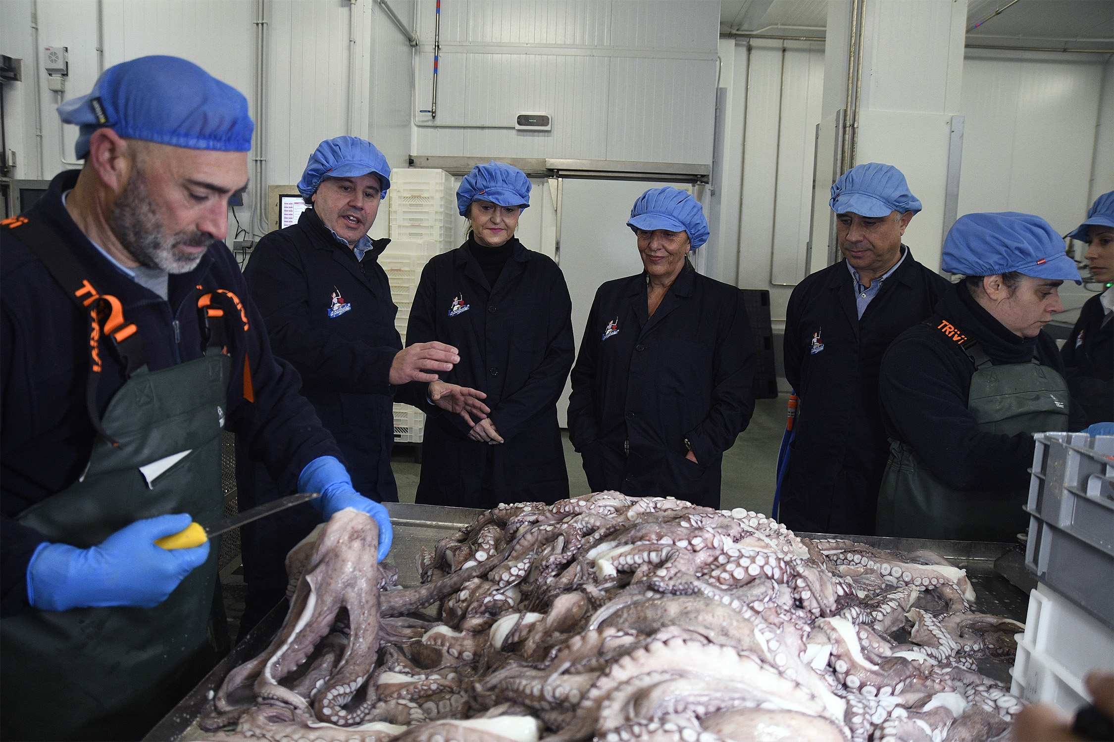 20240126 Frigorificos Arcos 1