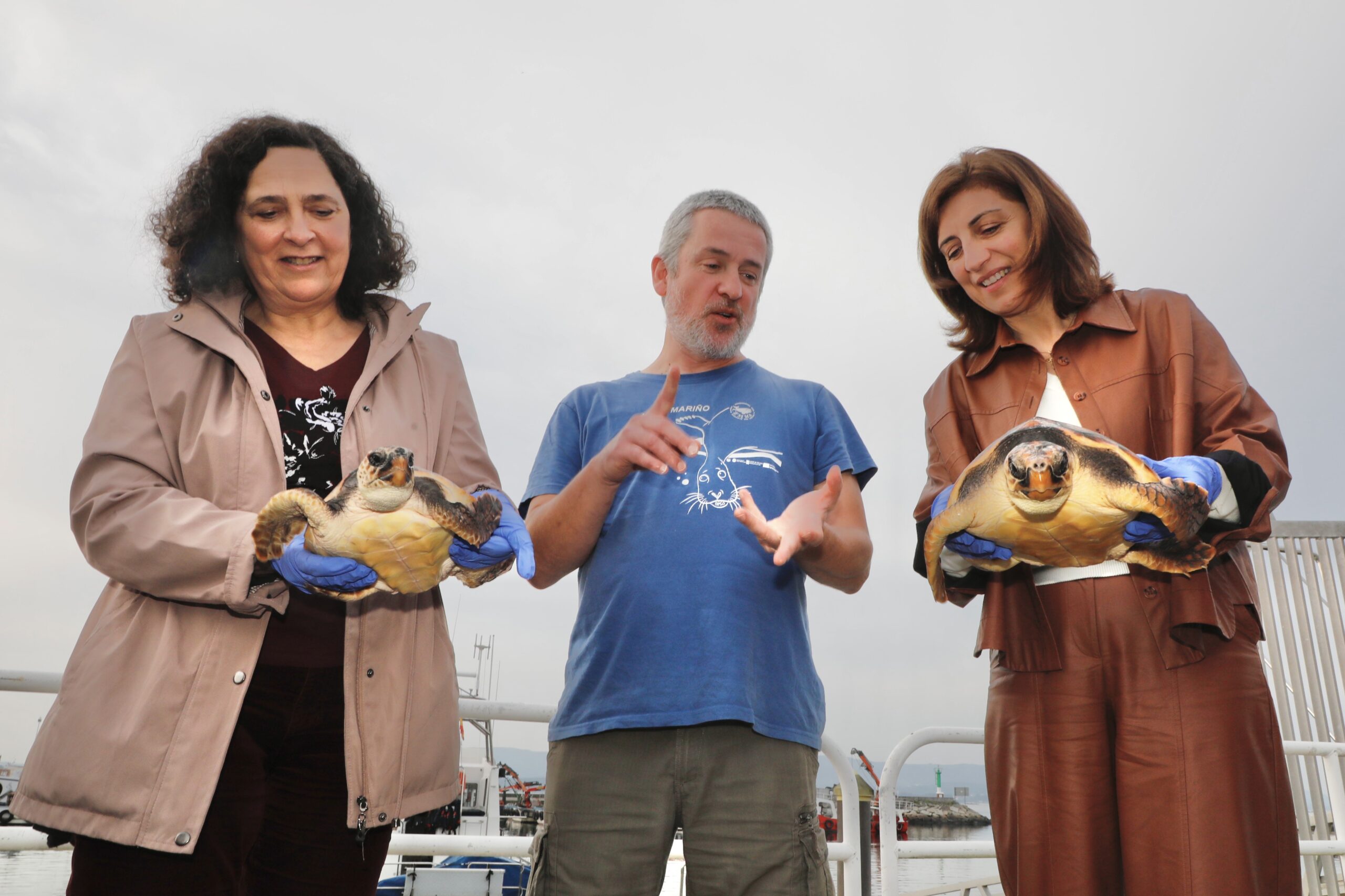 240130 AVM TARTARUGAS 5