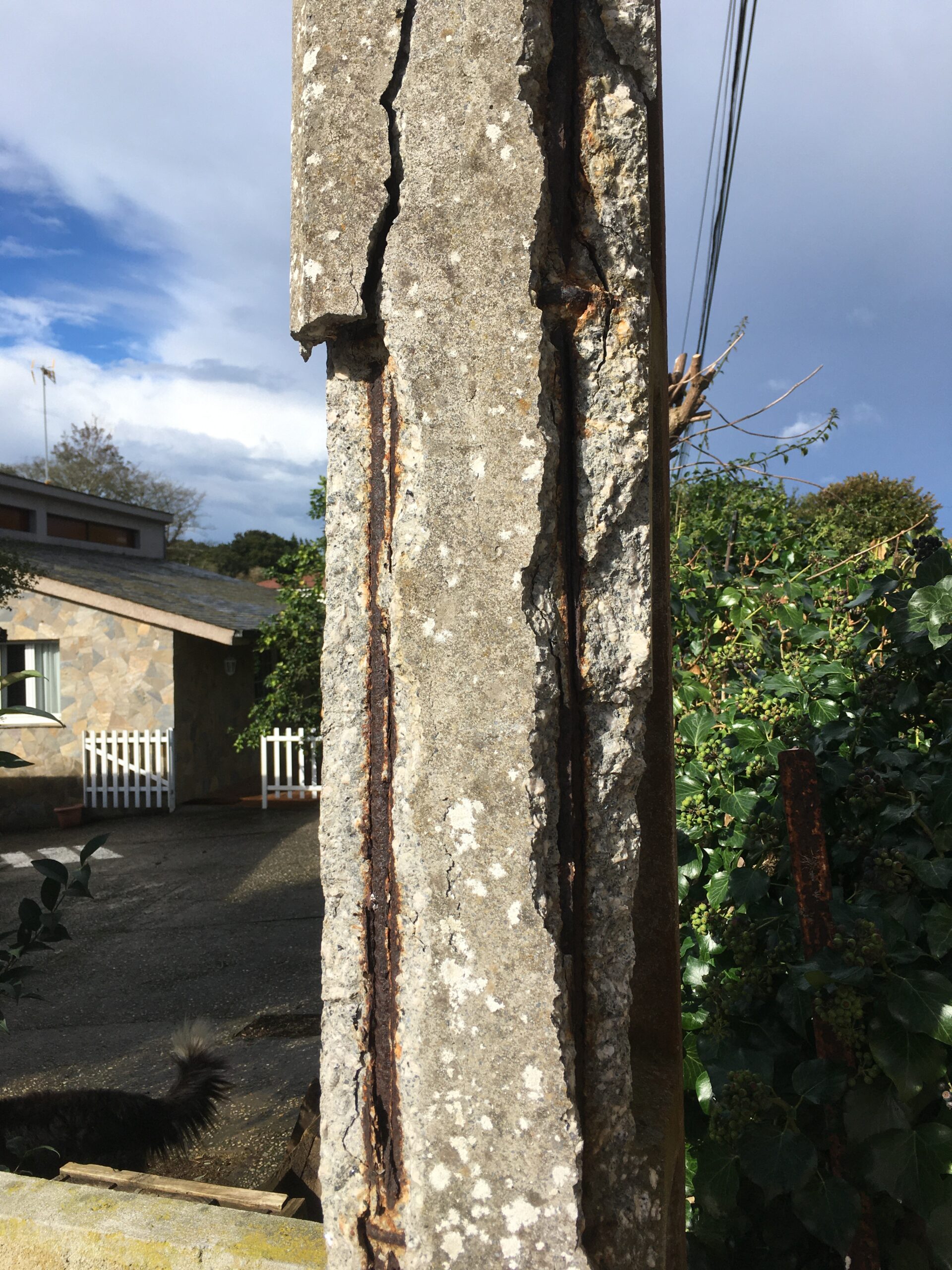 AY000000040059000000739