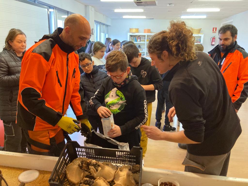 CEIP_ACruz_Camos (3)