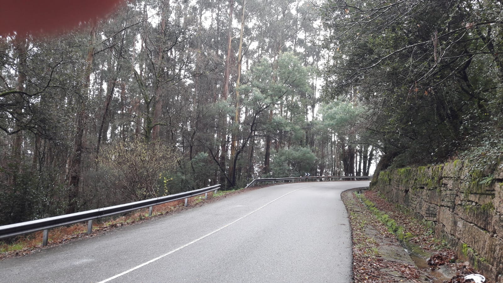 Corte carril N-555 (1)