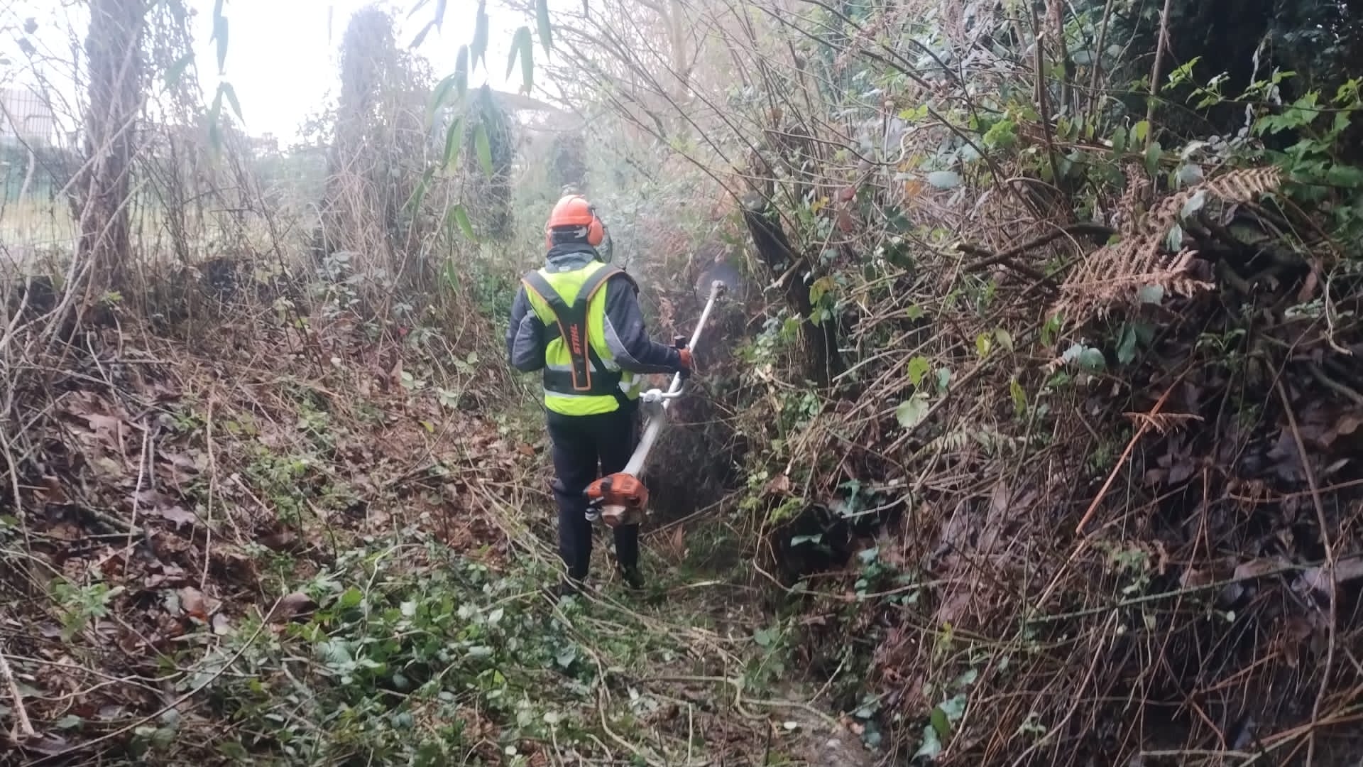 N1825-Varios-Carral inicio