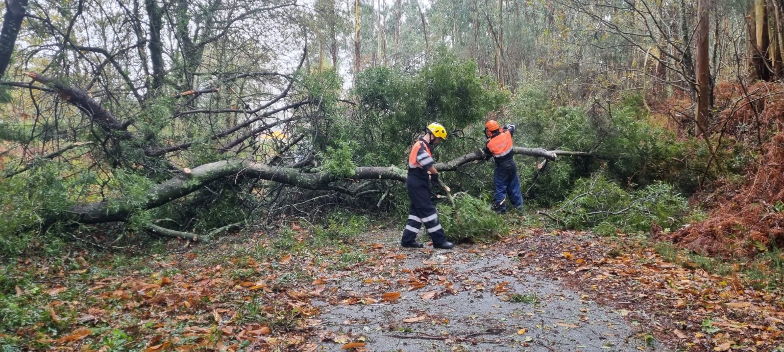 Protección Civil de Tomiño realizou máis de 1.800 horas de servizo no 2023 03