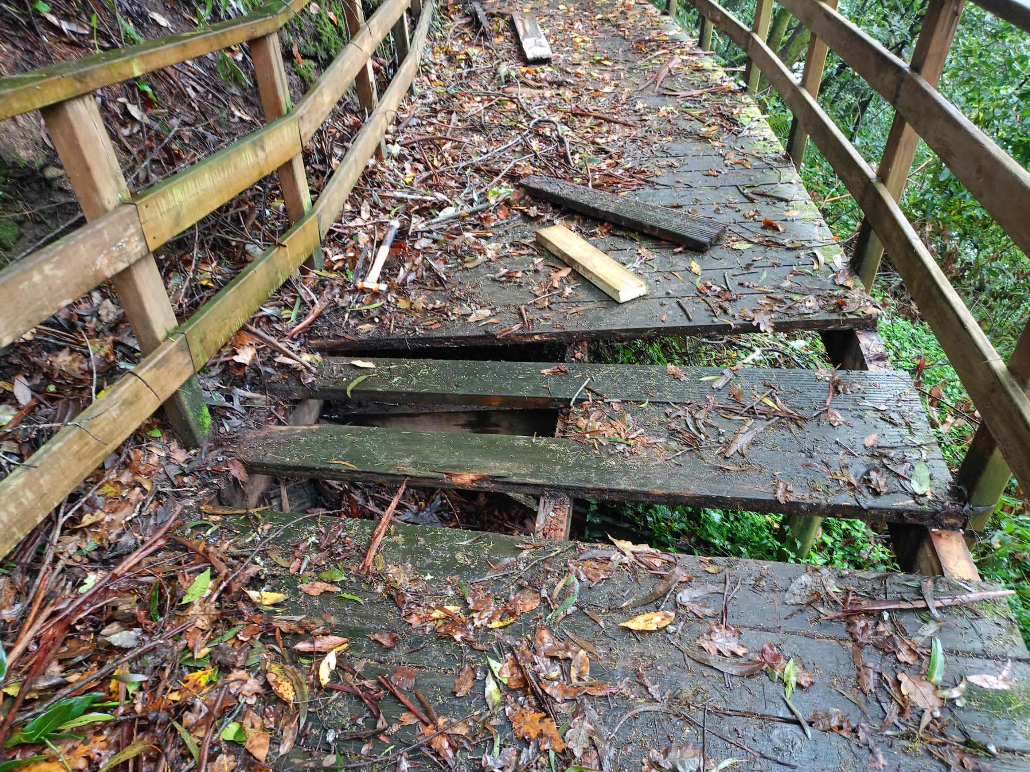 Renovación das pasarelas do Lerez 2