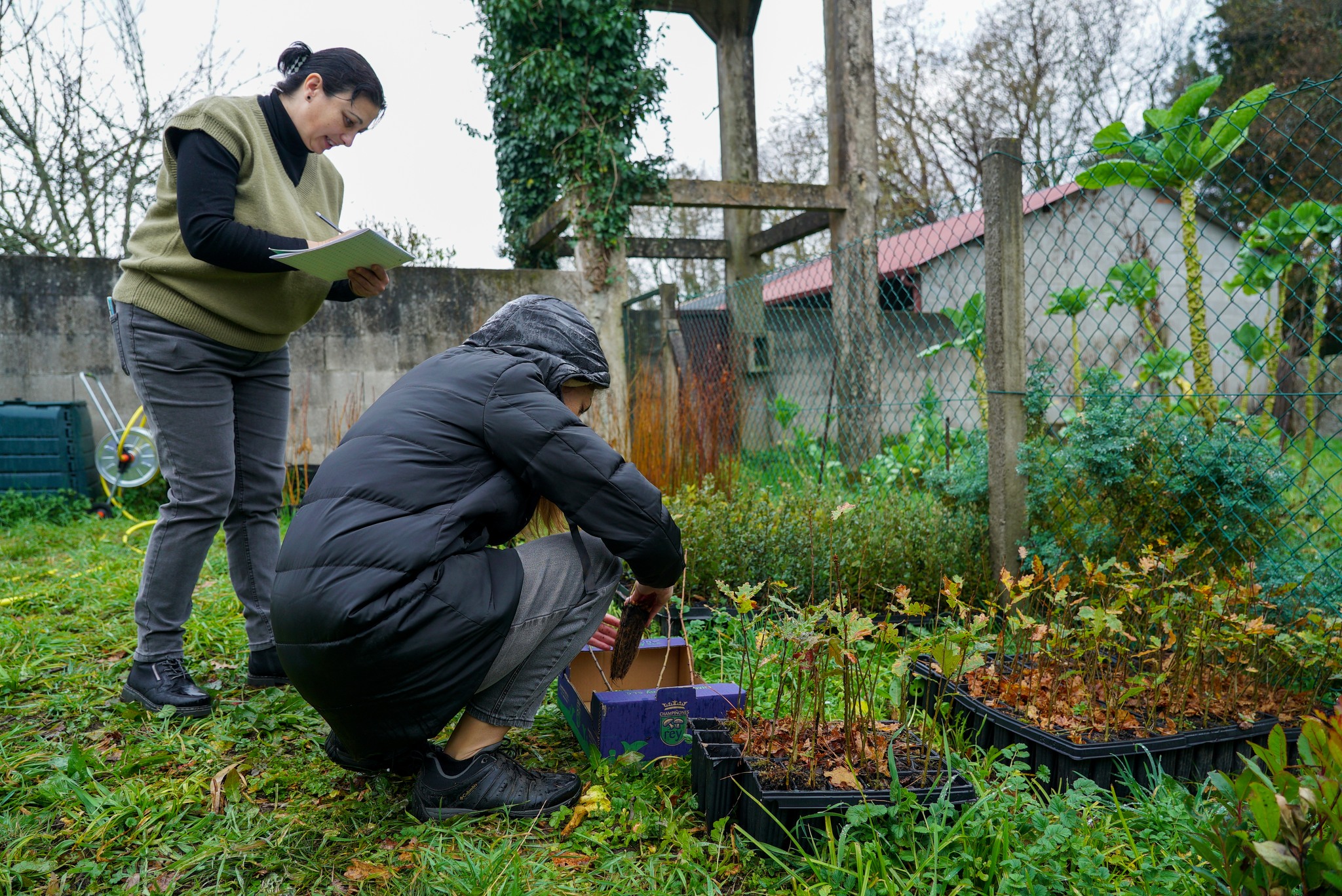 Tomiño entregou máis de 2.600 árbores para encher os montes de vida autóctona 01
