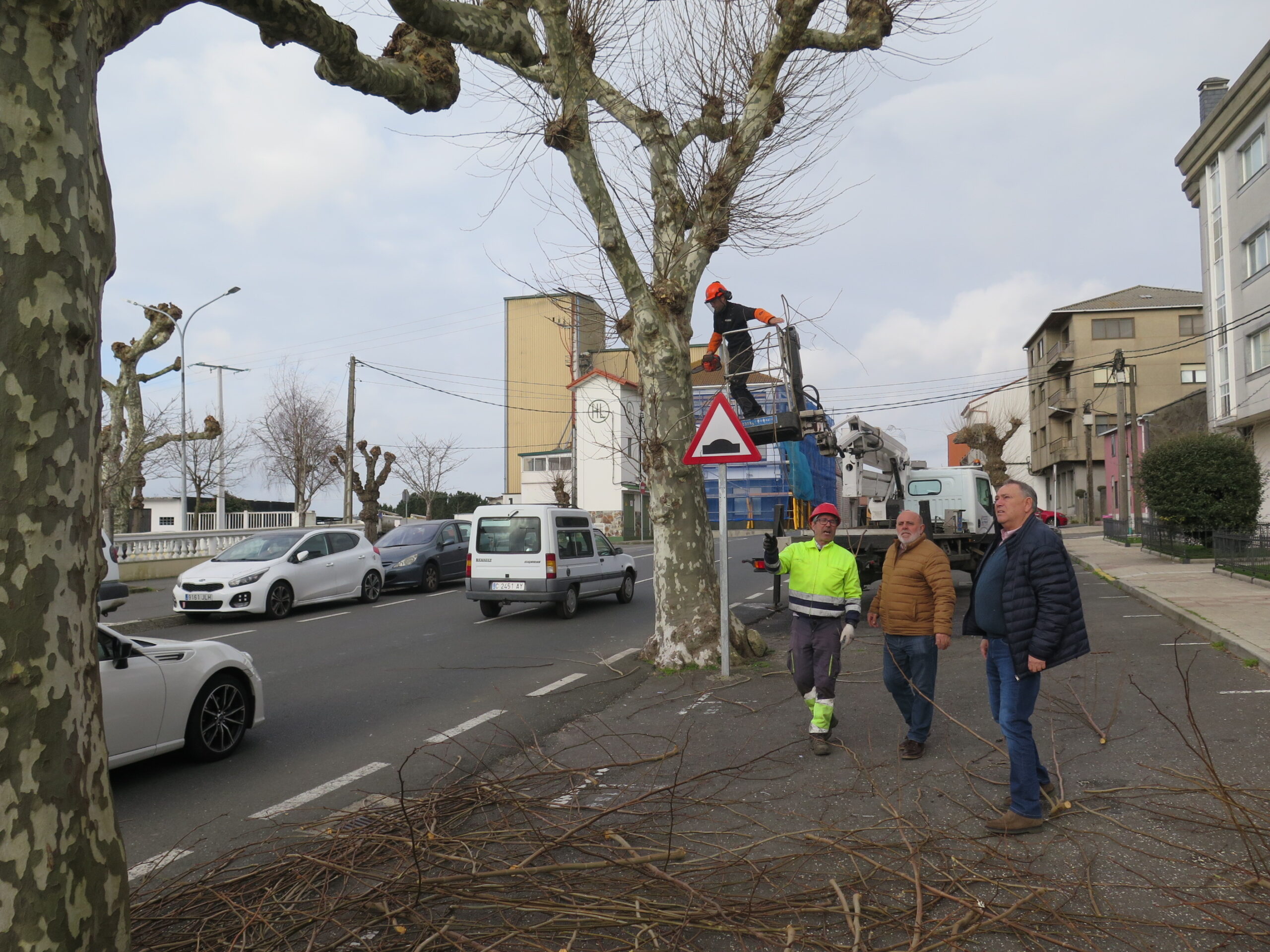 2024.02.07.- Poda árbores campo da feira