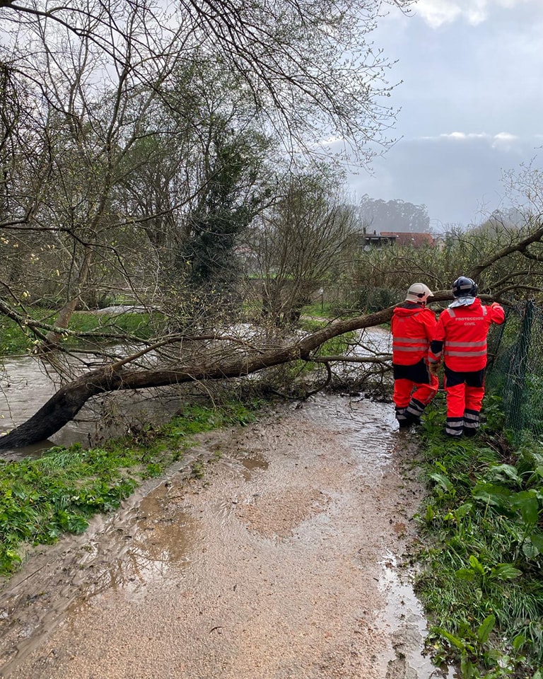 Arbore Protección Civil