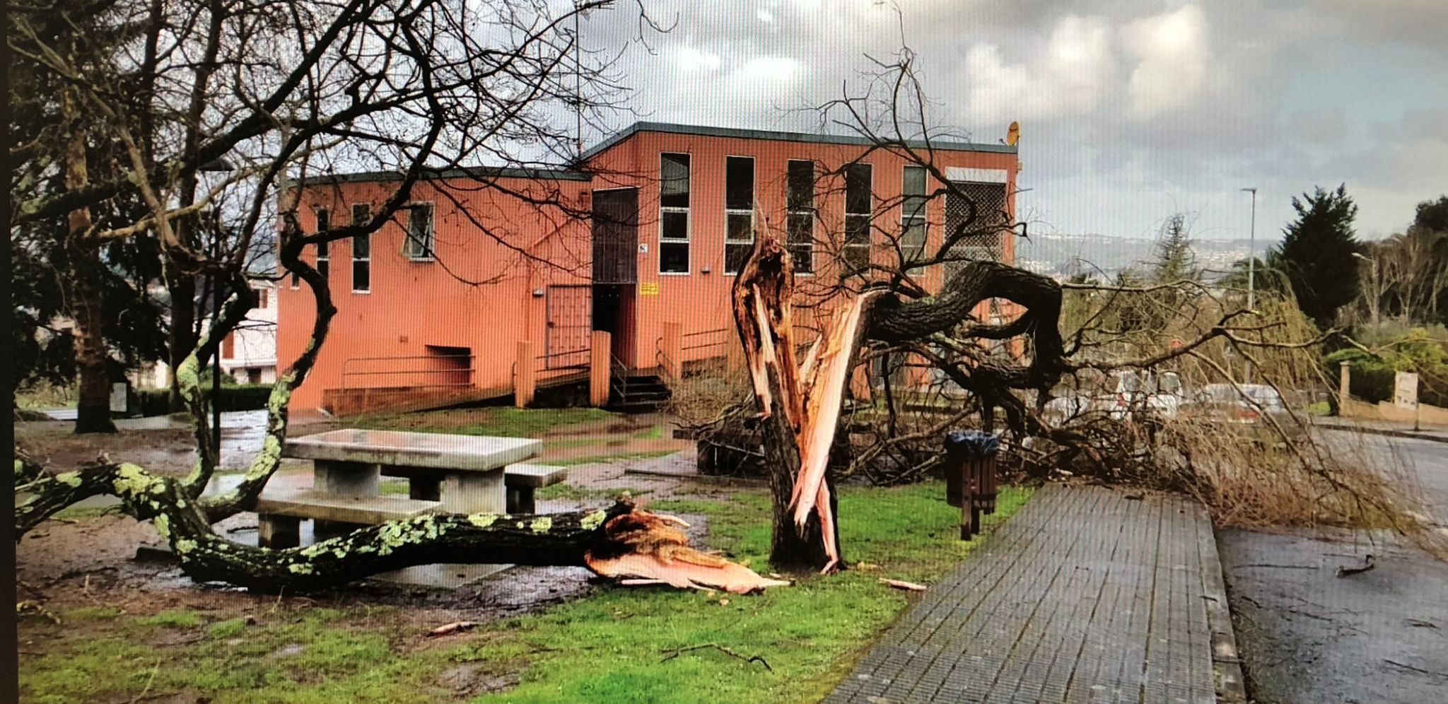 Imagen de WhatsApp 2024-02-28 a las 15.13.45_ae54e945