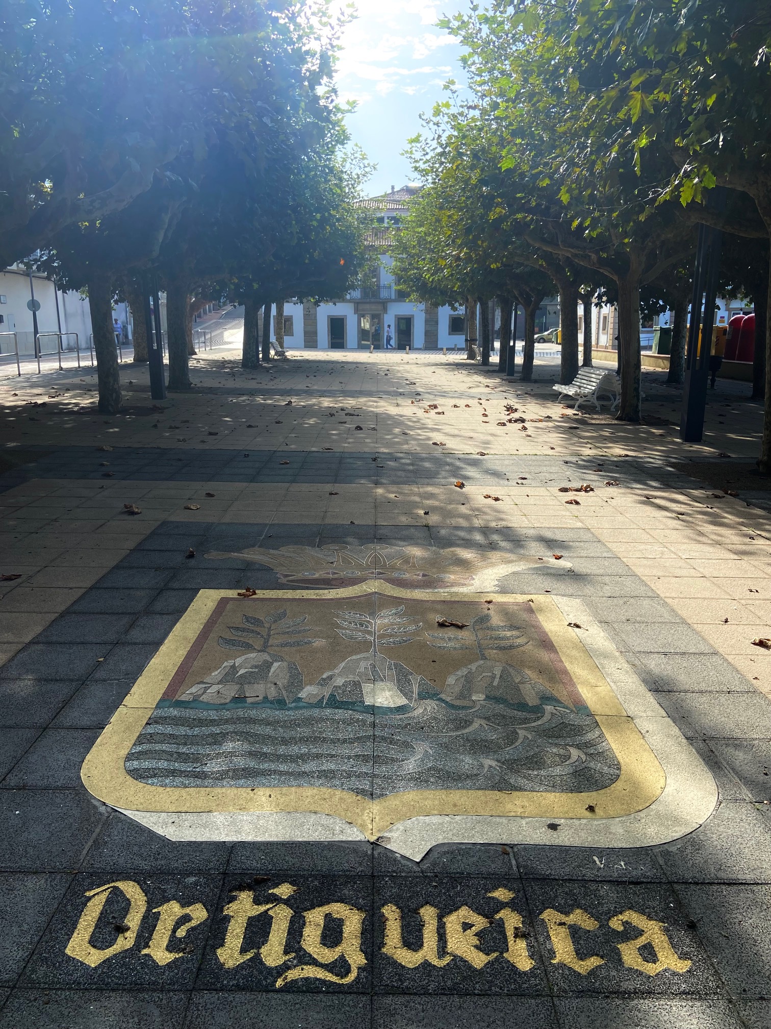 Ortigueira Alameda e Servizos Sociais