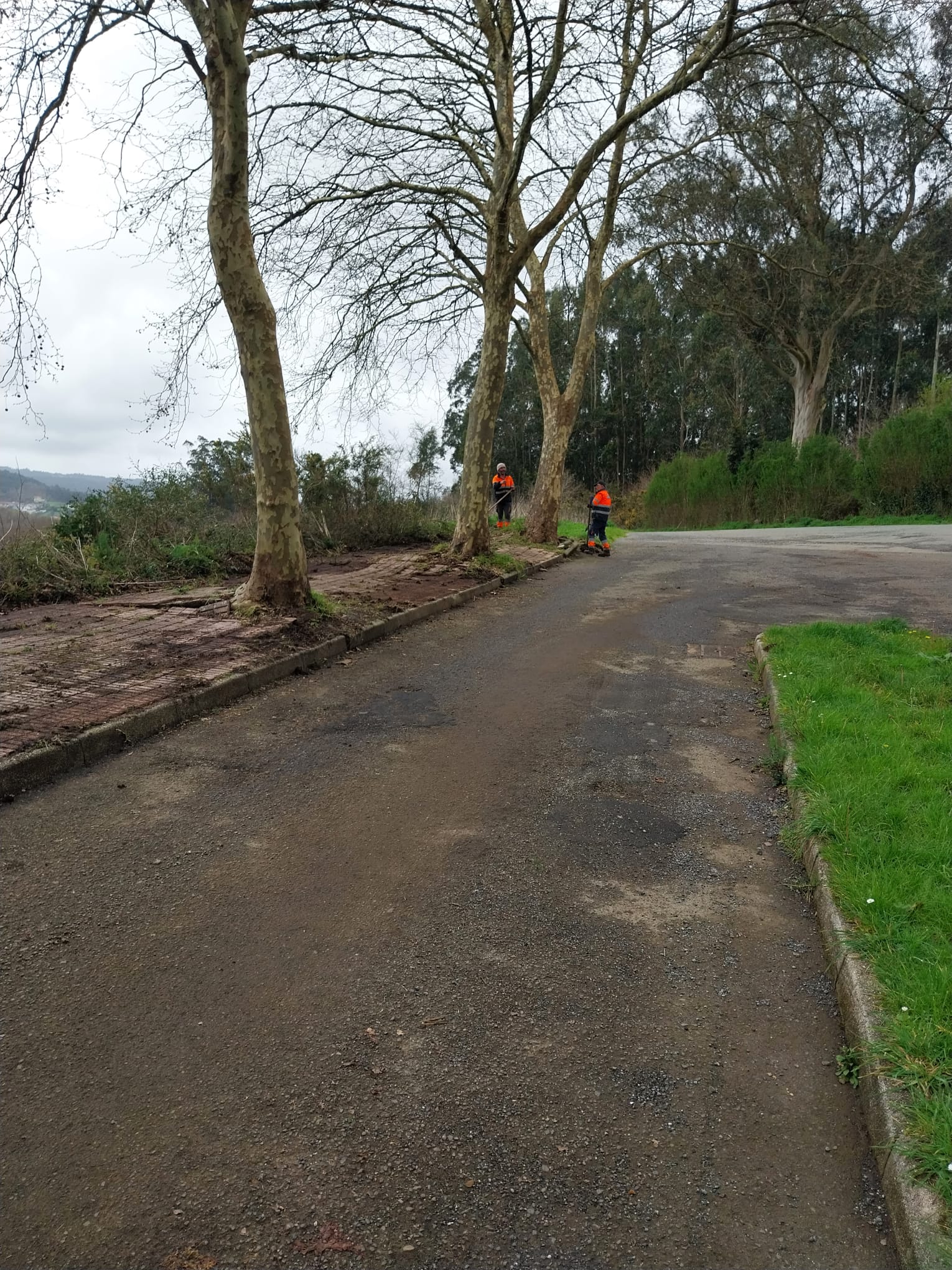 1711441736san_lazaro1