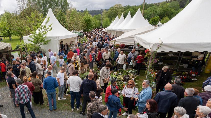 344367936_562891029059786_3544913409620951849_n