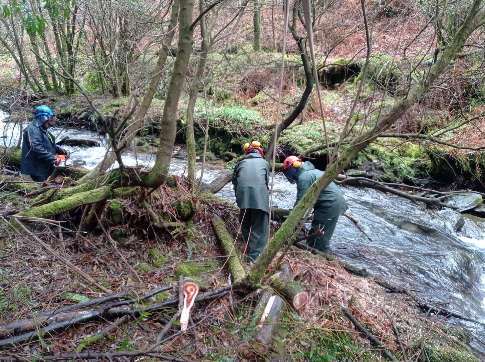 C1751-INNOMINADO-VIMIANZO Imaxes inicio 2