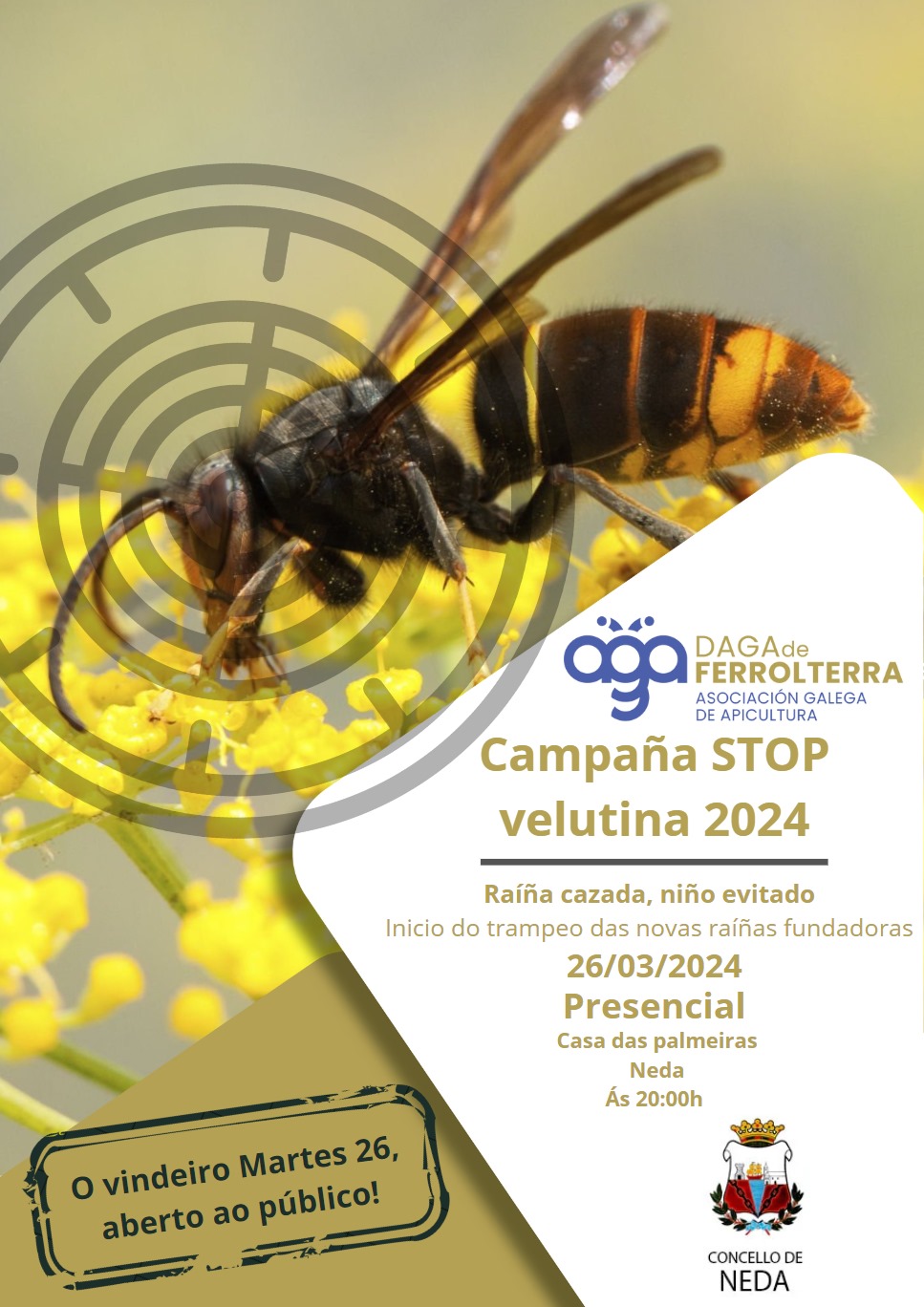 CARTEL CHARLA VELUTINAS