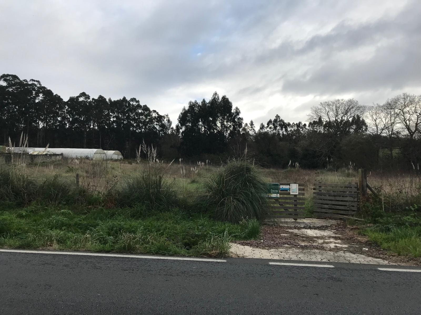 Imagen de WhatsApp 2024-02-28 a las 10.20.49_70a5b607