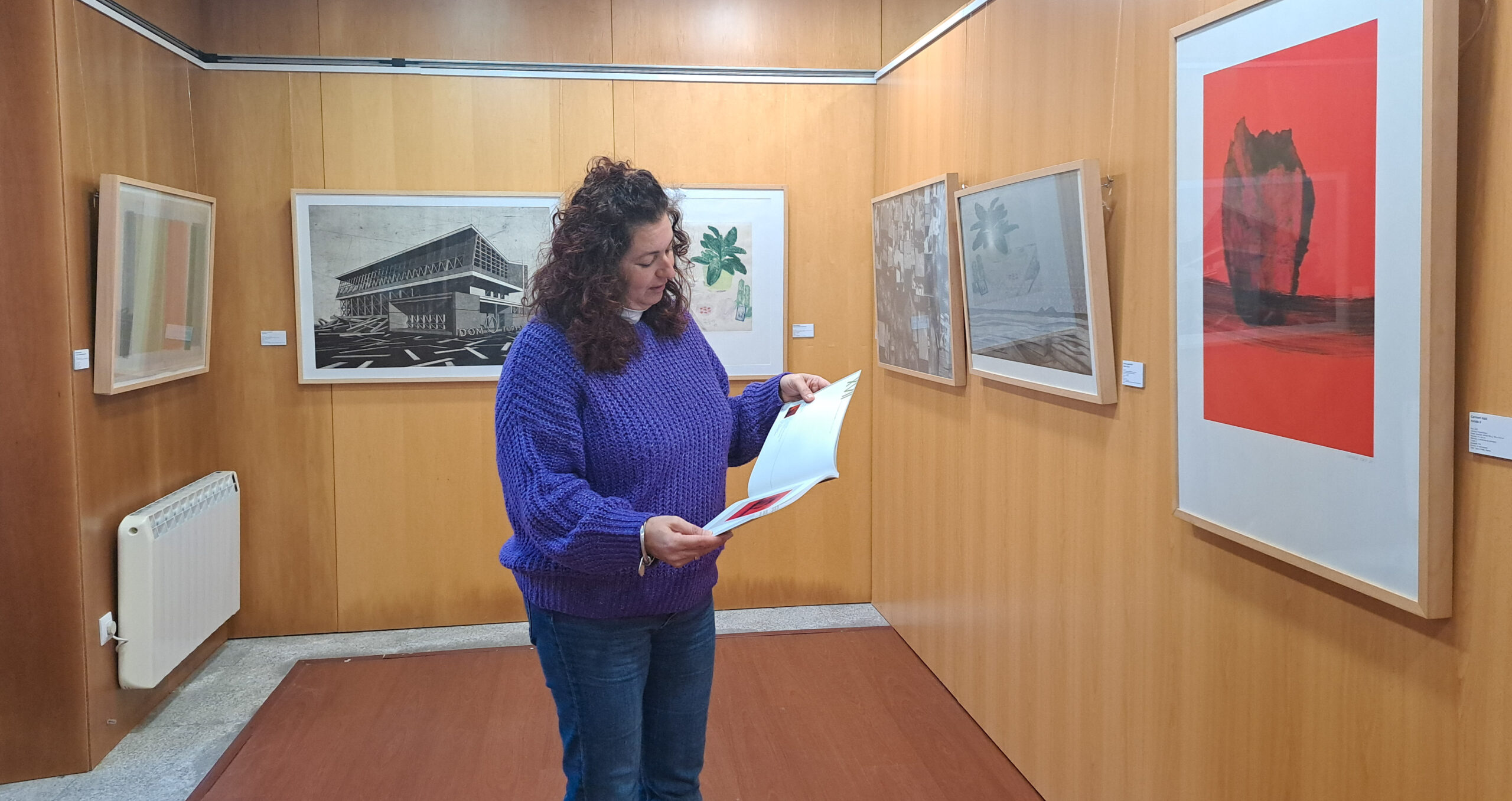 Mostra XVII Premio Internacional Jesús Núñez de Arte Gráfica (2)