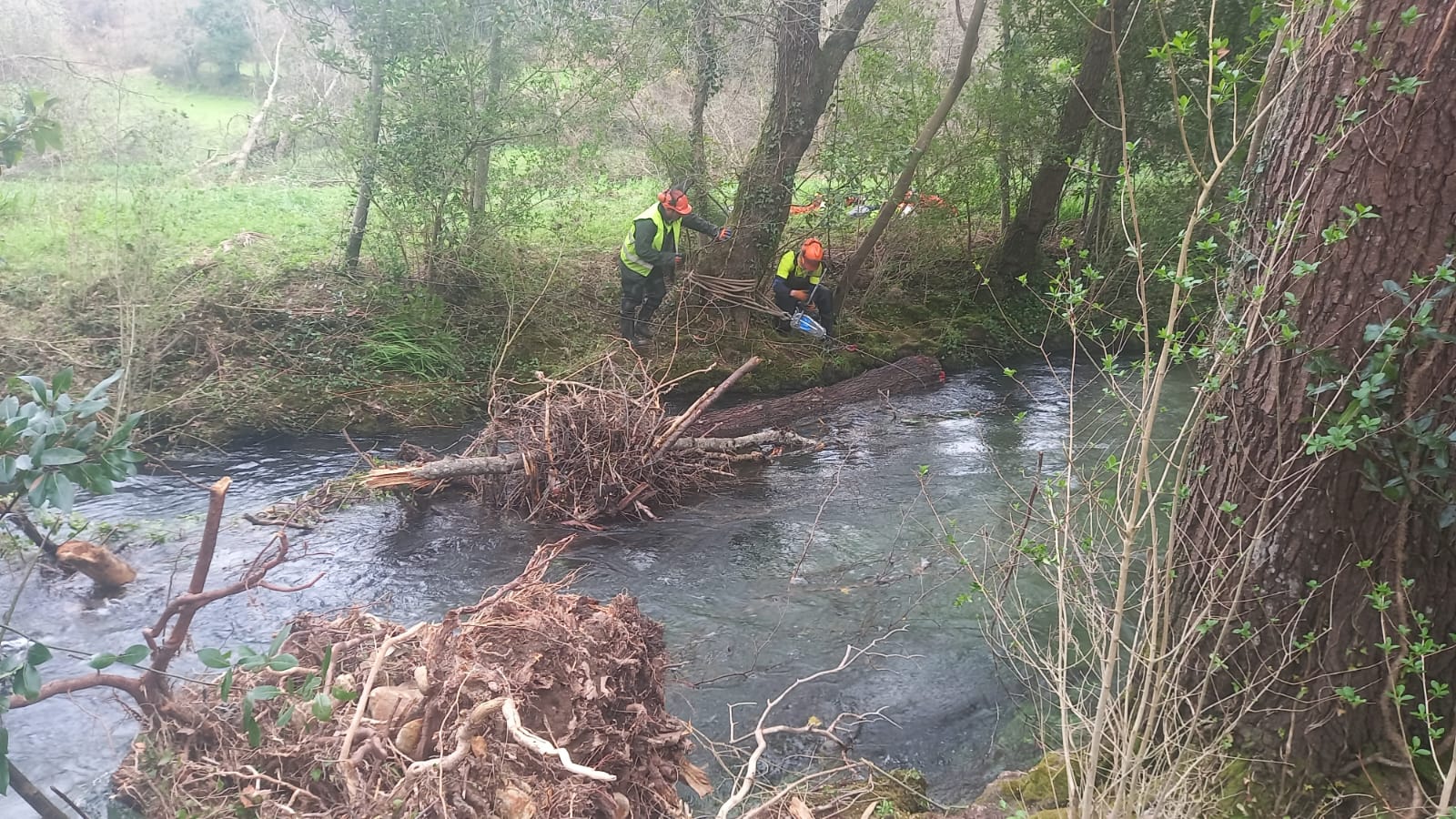 N1839_EV24002-Q002-Belelle-Neda Imaxes inicio 2