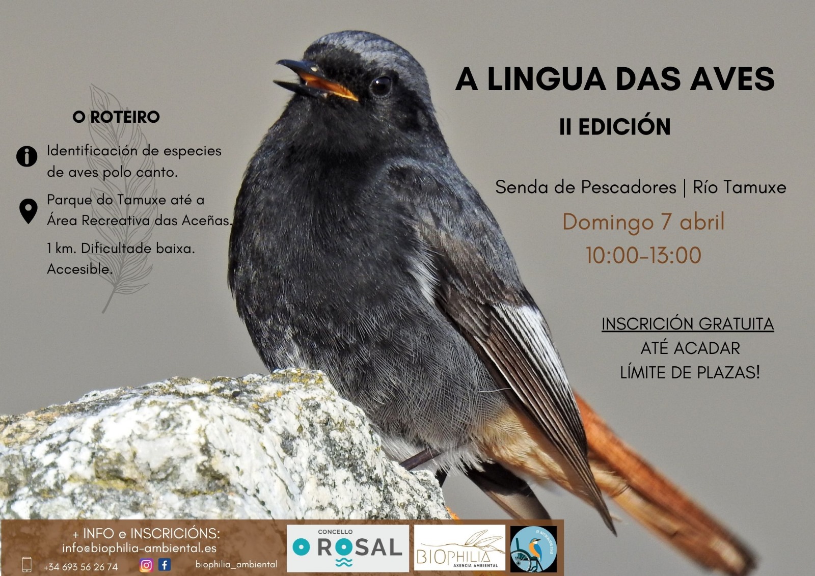 O Rosal aprenderaì a identificar as aves da contorna polo seu canto