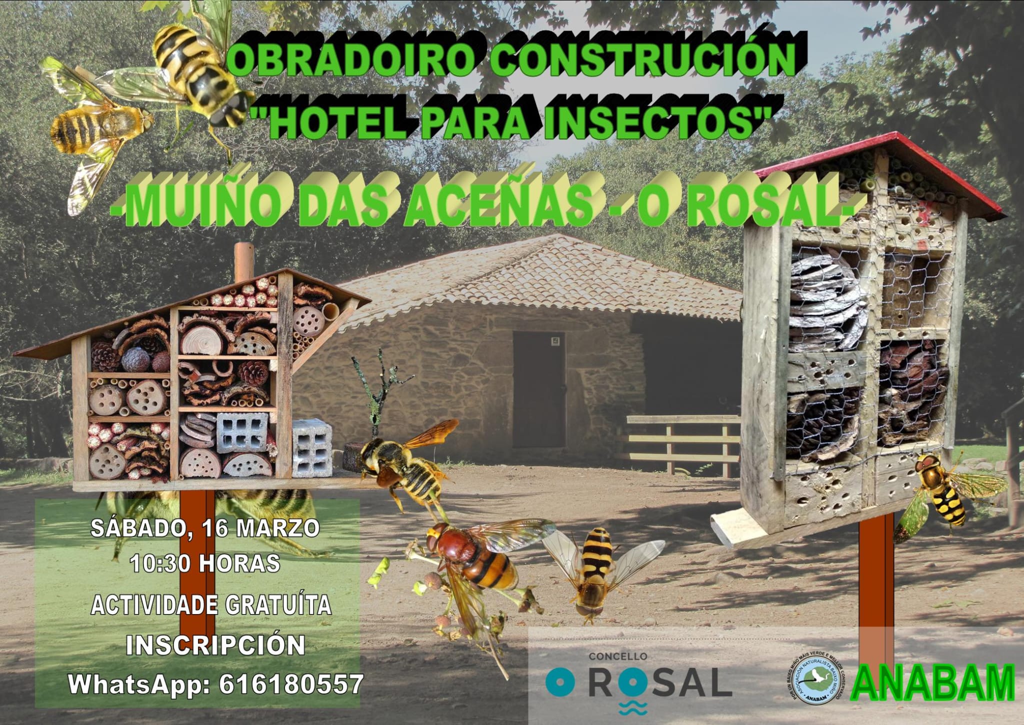 O Rosal suìmase ao coidado da natureza cun obradoiro de construcioìn de hoteis para insectos