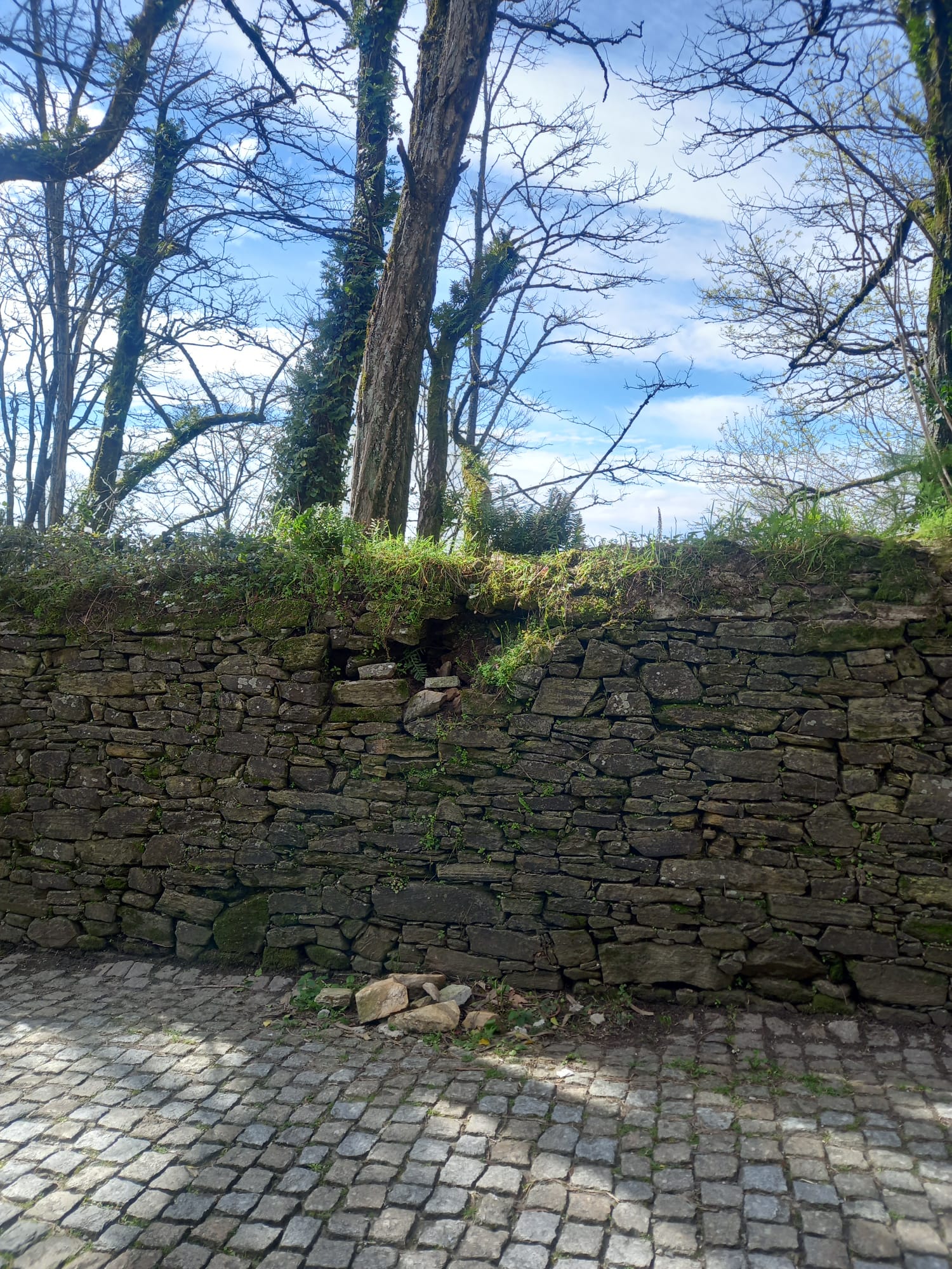 Outra IMAXE de desprendementos na rúa de Belvís