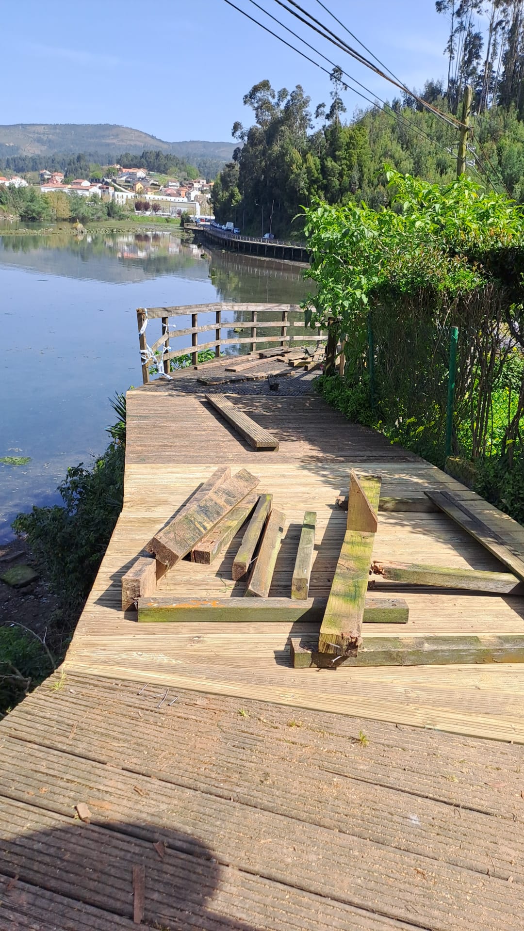 Paseo Portela Reposición