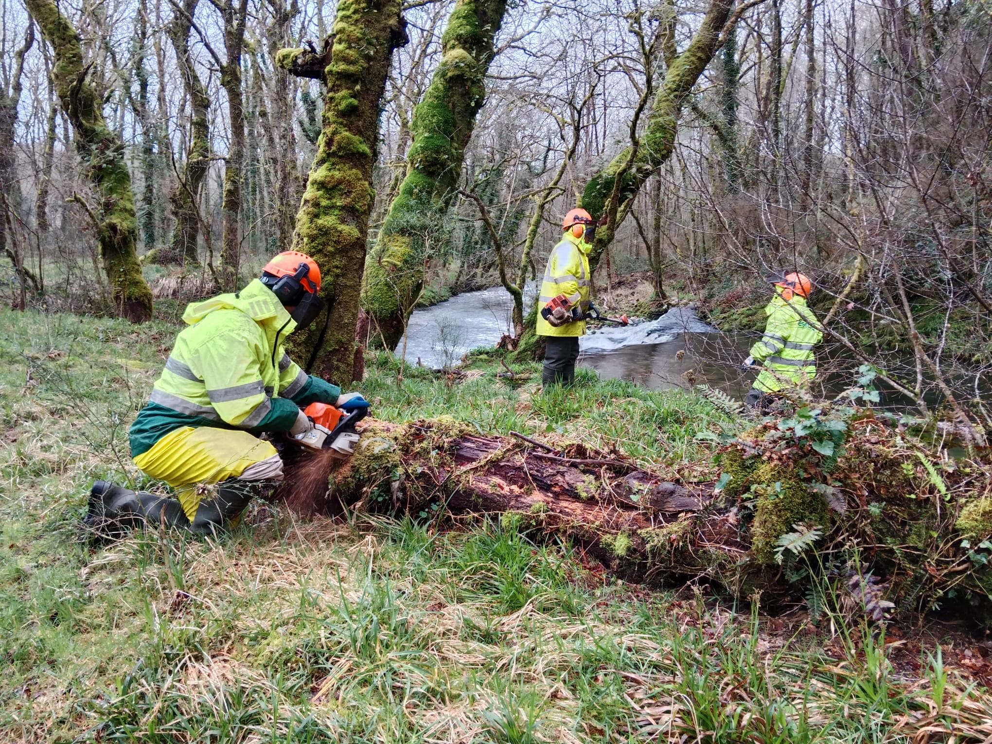 S1762-Lerez-Forcarei Imaxes inicio 2