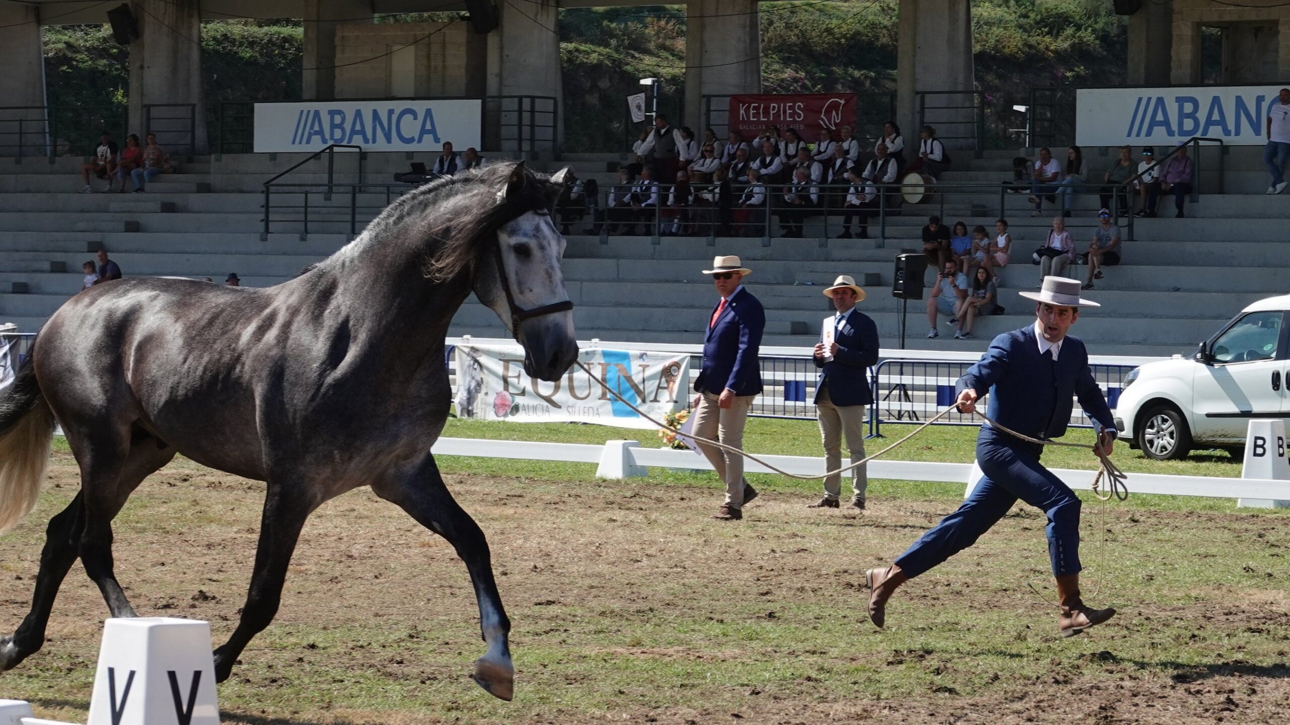 vista Equina 2023 DSC03650