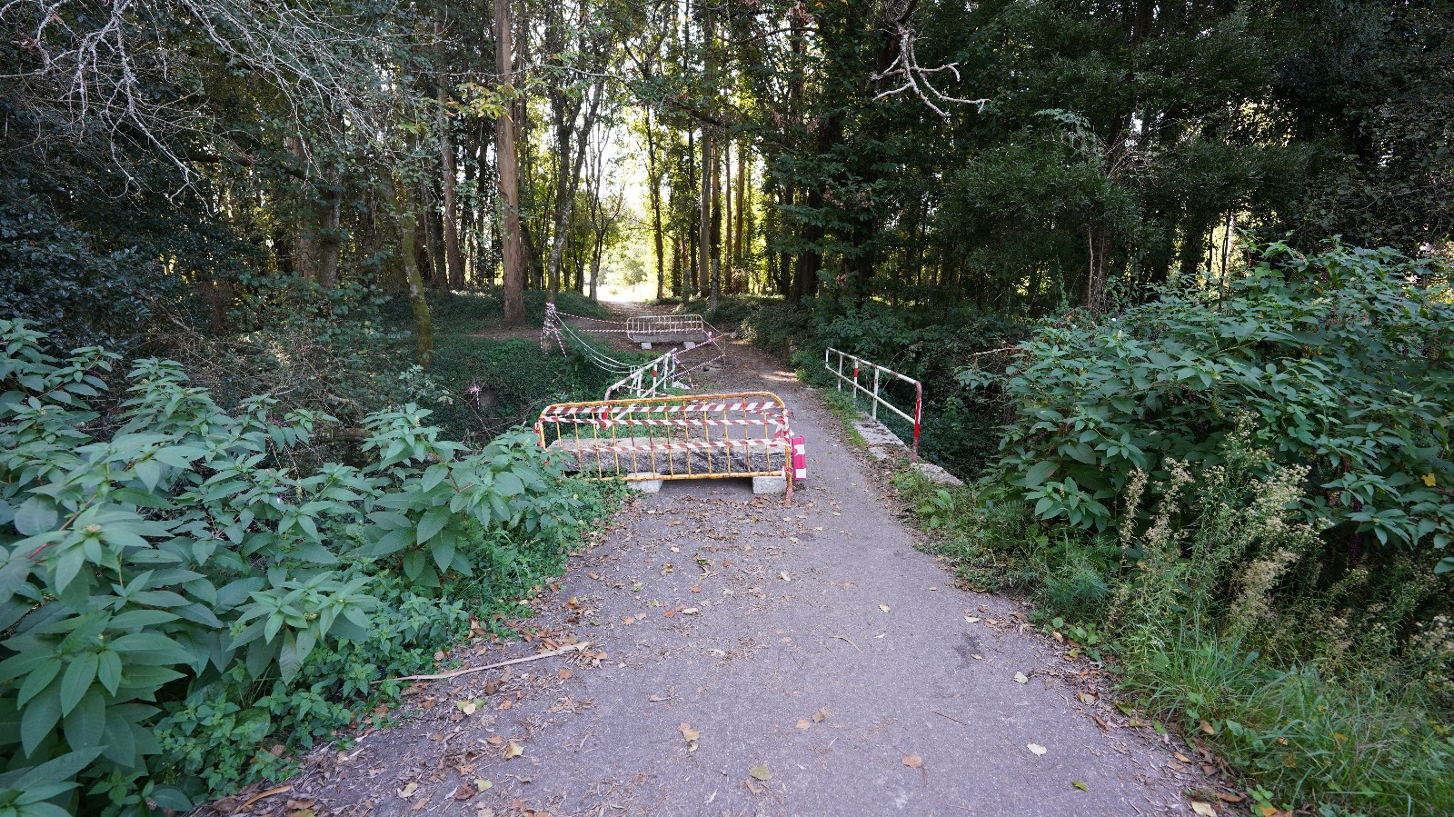 15042024 Ponte sobre o regatao Fonte do Febreiro (1)