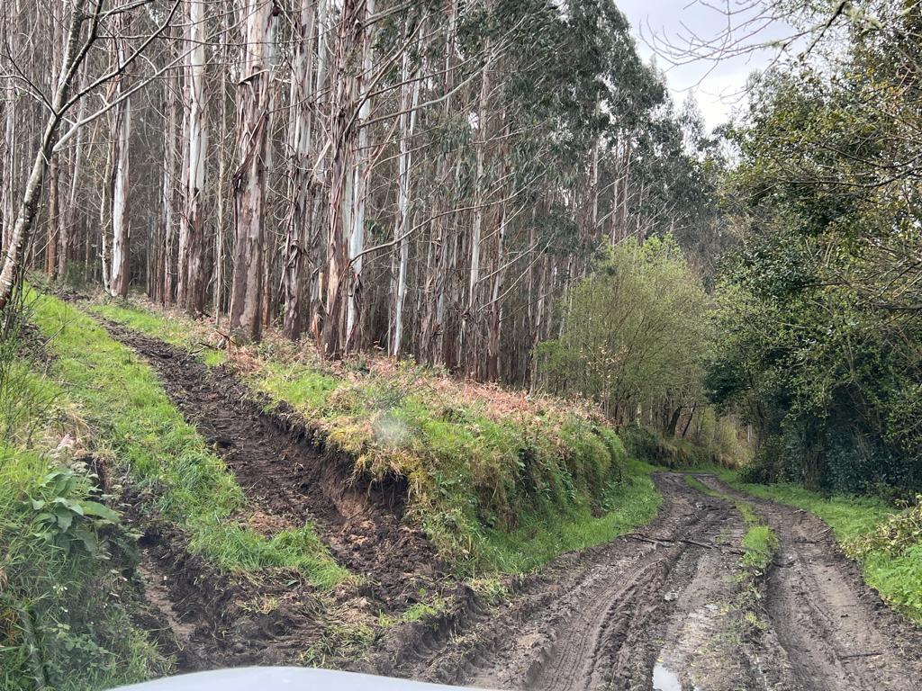 2024.04.10.- Corte pistas forestais Montemaior (1)