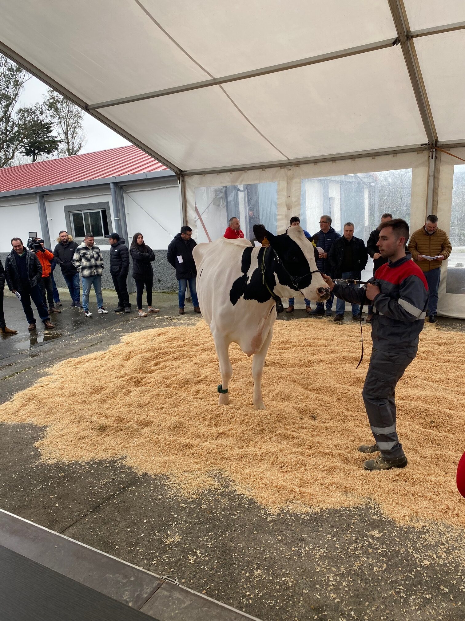 20240402_poxa_mouriscade (3)