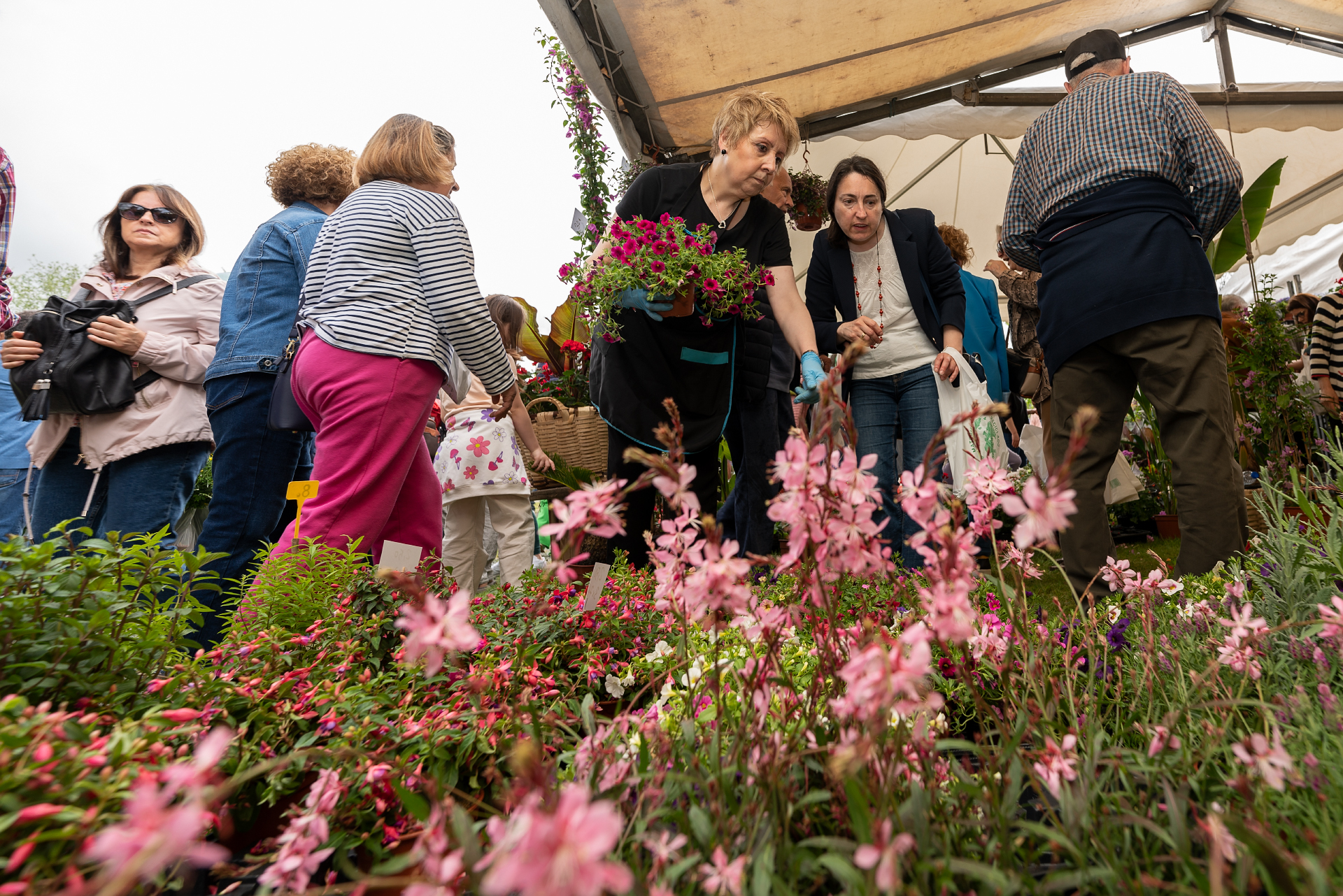 343991603_704571181357832_3015427798615253949_n-2