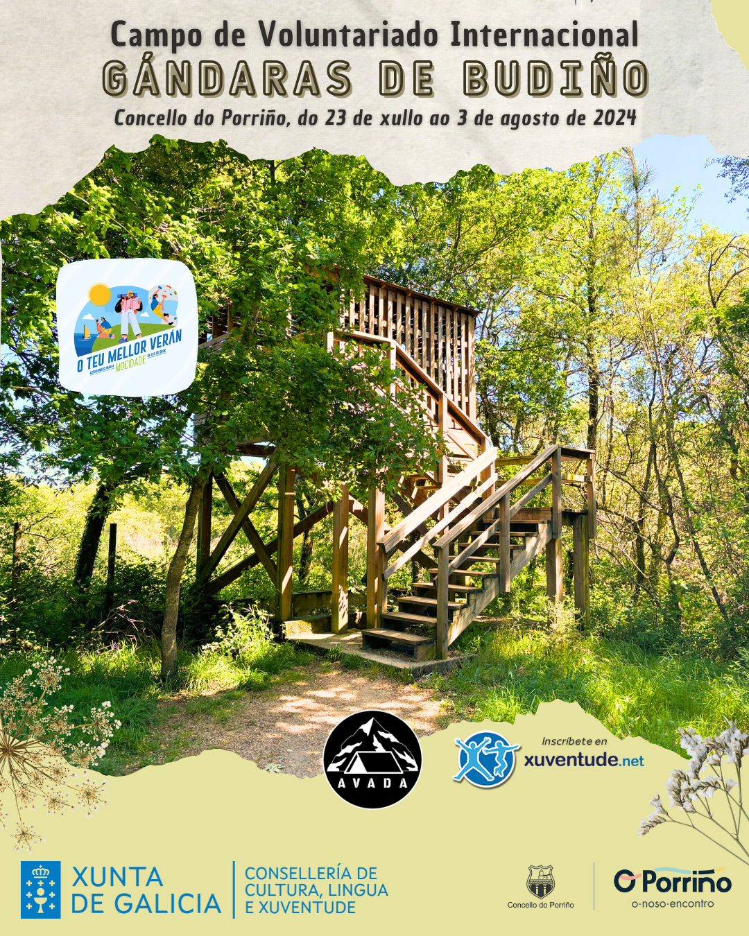 Cartel Campo de Voluntariado Gándaras de Budiño