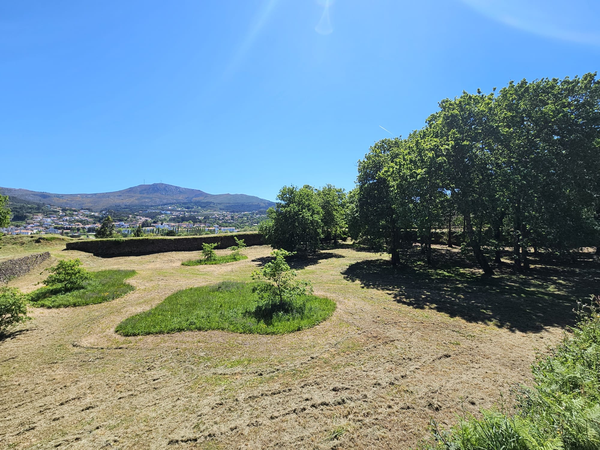Concello e Anabam traballan para contribuír á conservación de insectos polinizadores 02