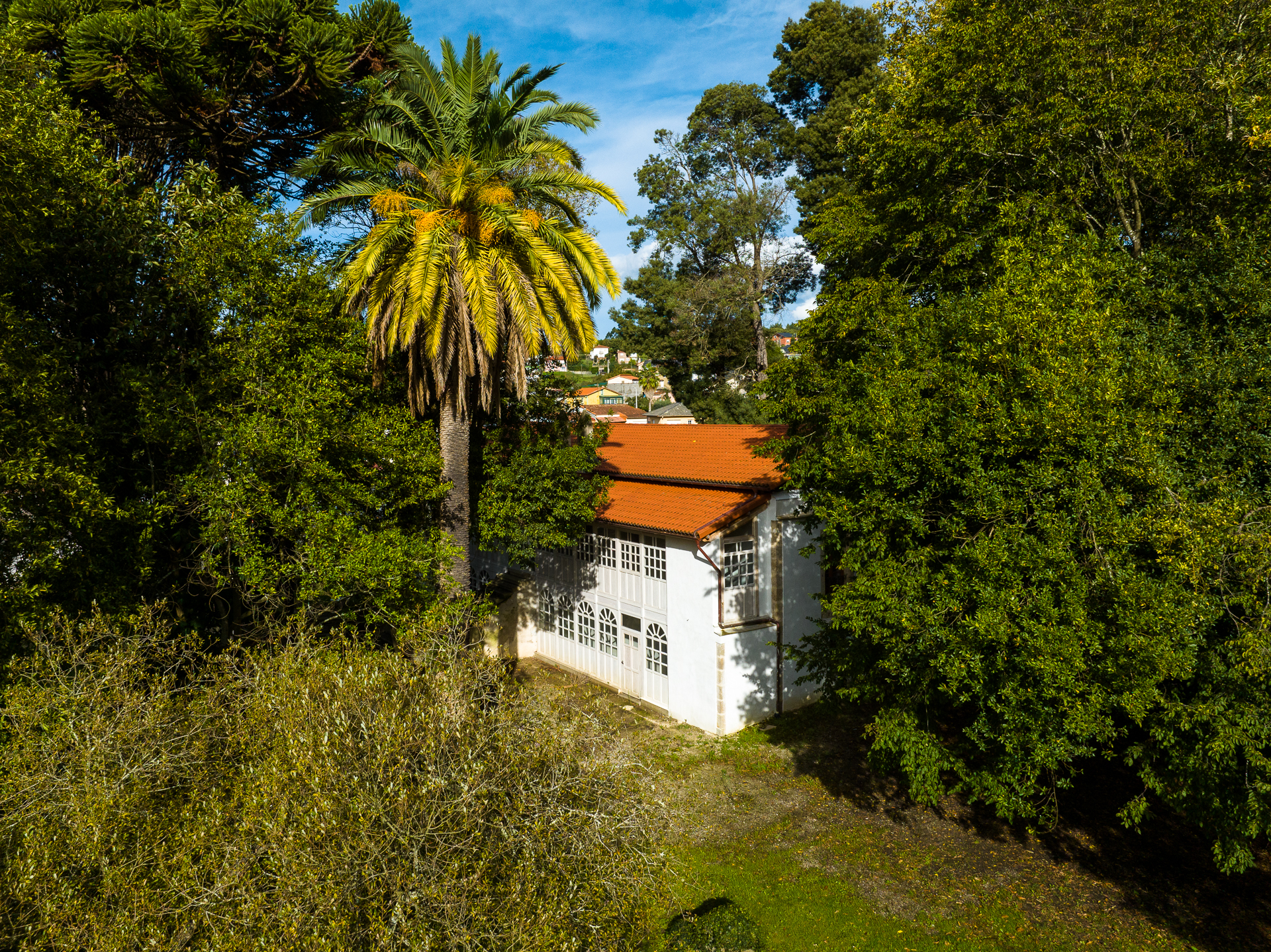 FINCA TENREIRO_NÓS-0608