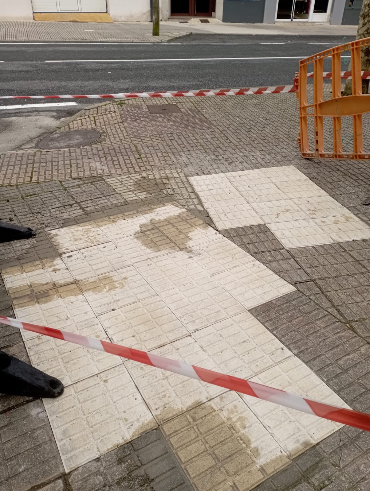 Mantenimiento Cariño (5)