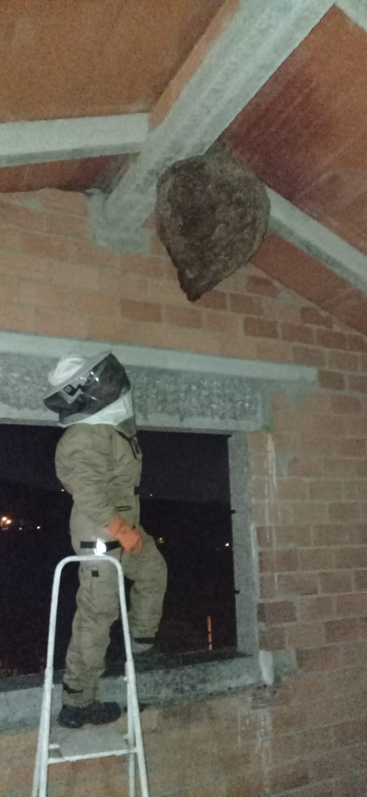 O equipo de voluntariado de velutinas do Rosal realizou 130 intervencioěns no 2023 01