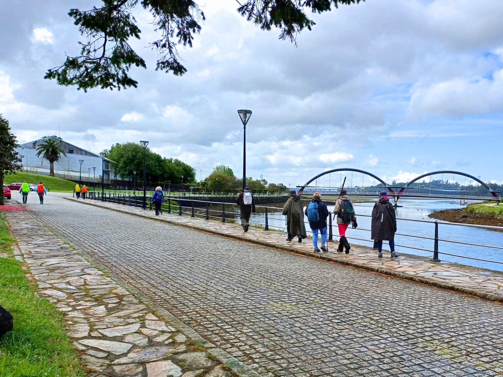 PEREGRINOS ENTRANDO EN NEDA