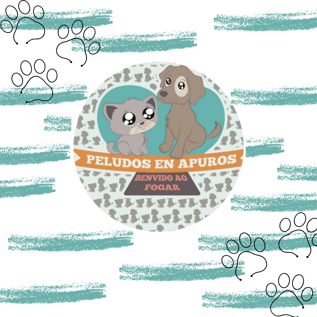 Tomiño celebra unha nova xornada de adopción de cans e gatos