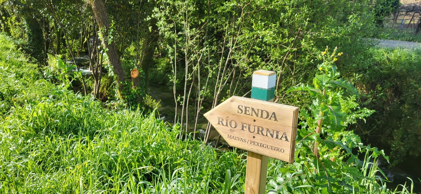 08052024 Senda Furnia – Malvas (1)