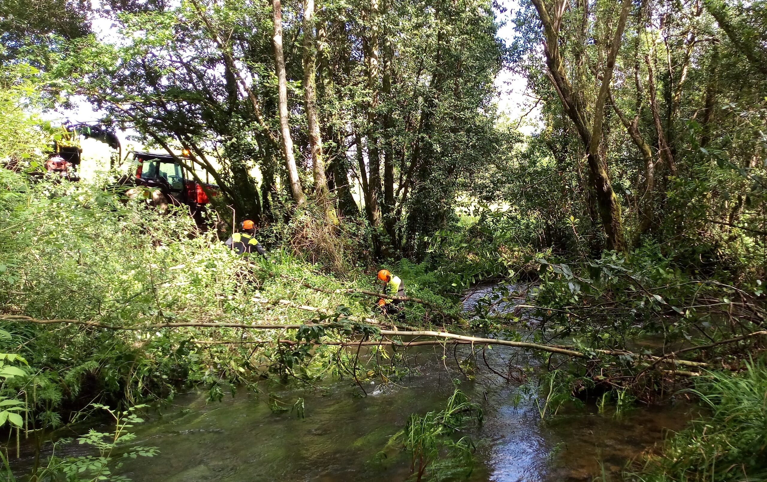 240506 actuacion conservacion rio Grande 2