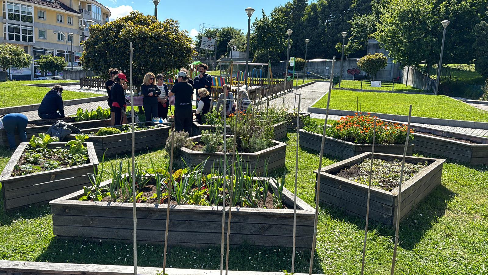 HortaUrbanaRamallosa5