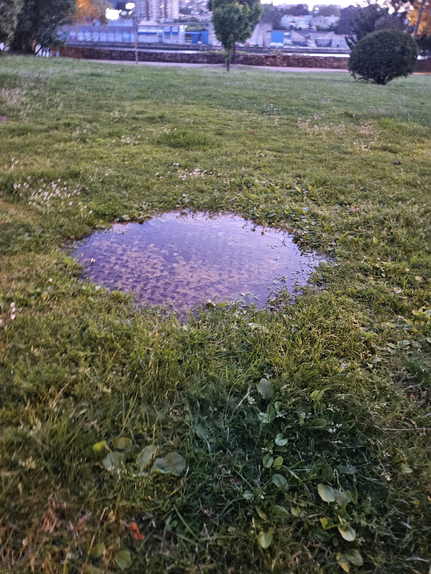 Imagen de WhatsApp 2024-05-28 a las 12.40.03_f715d573