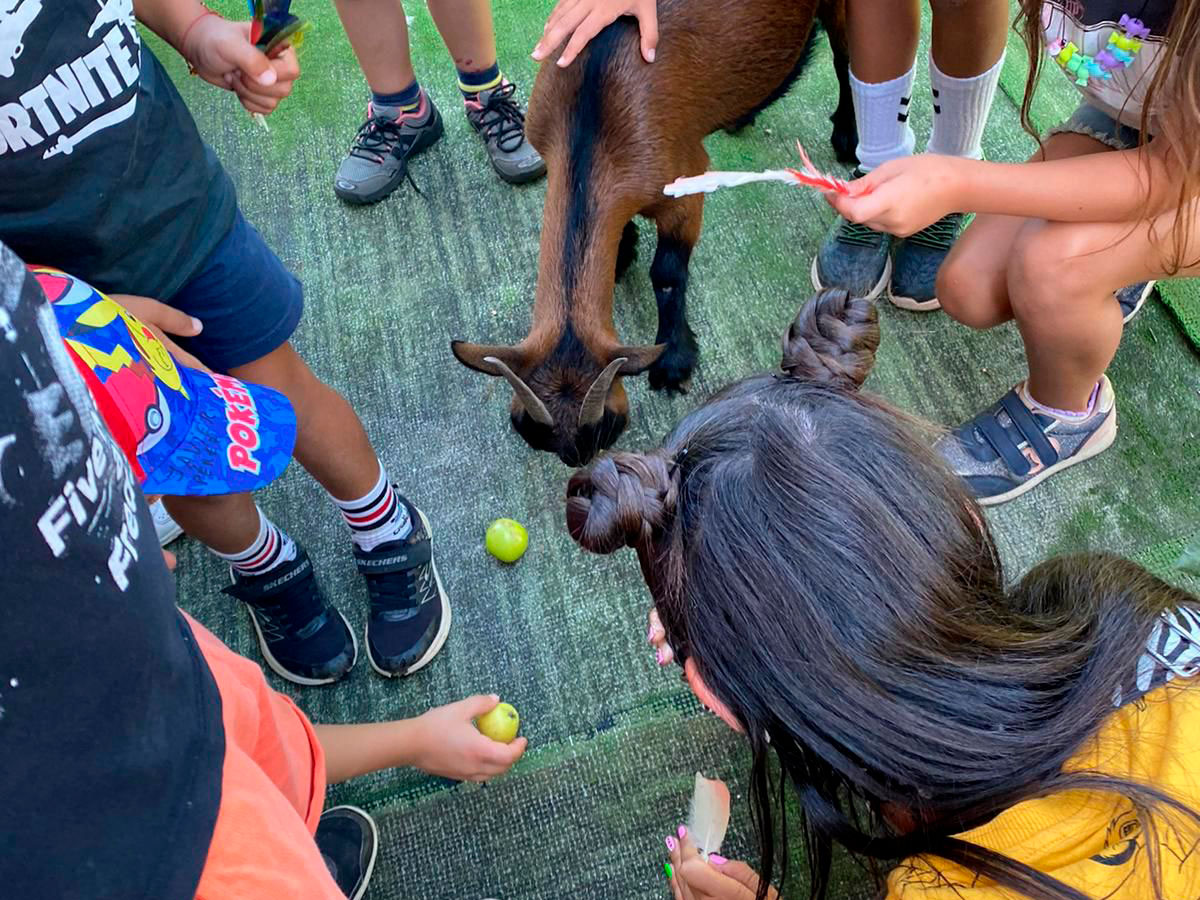 O Concello prepara un veraěn de lecer para a infancia rosaleira