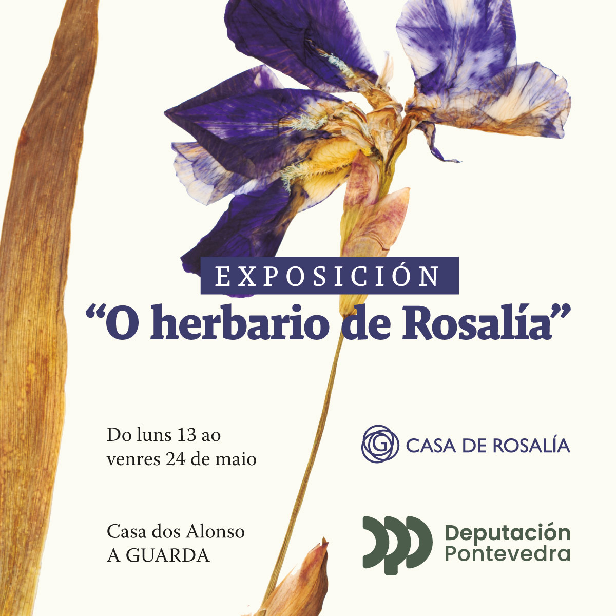 PezaRedes-Exposicion-HerbarioRosalia-AGuarda