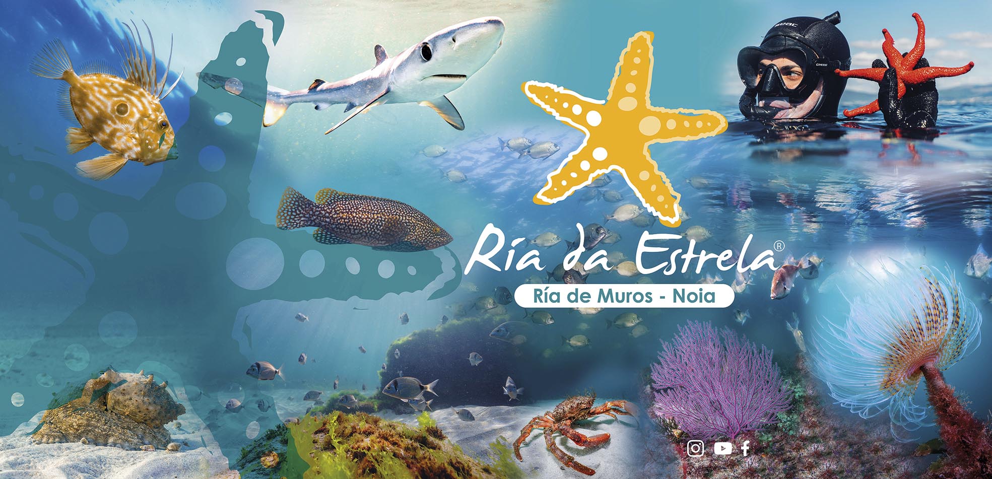 RiadaEstrelaTurexpo4