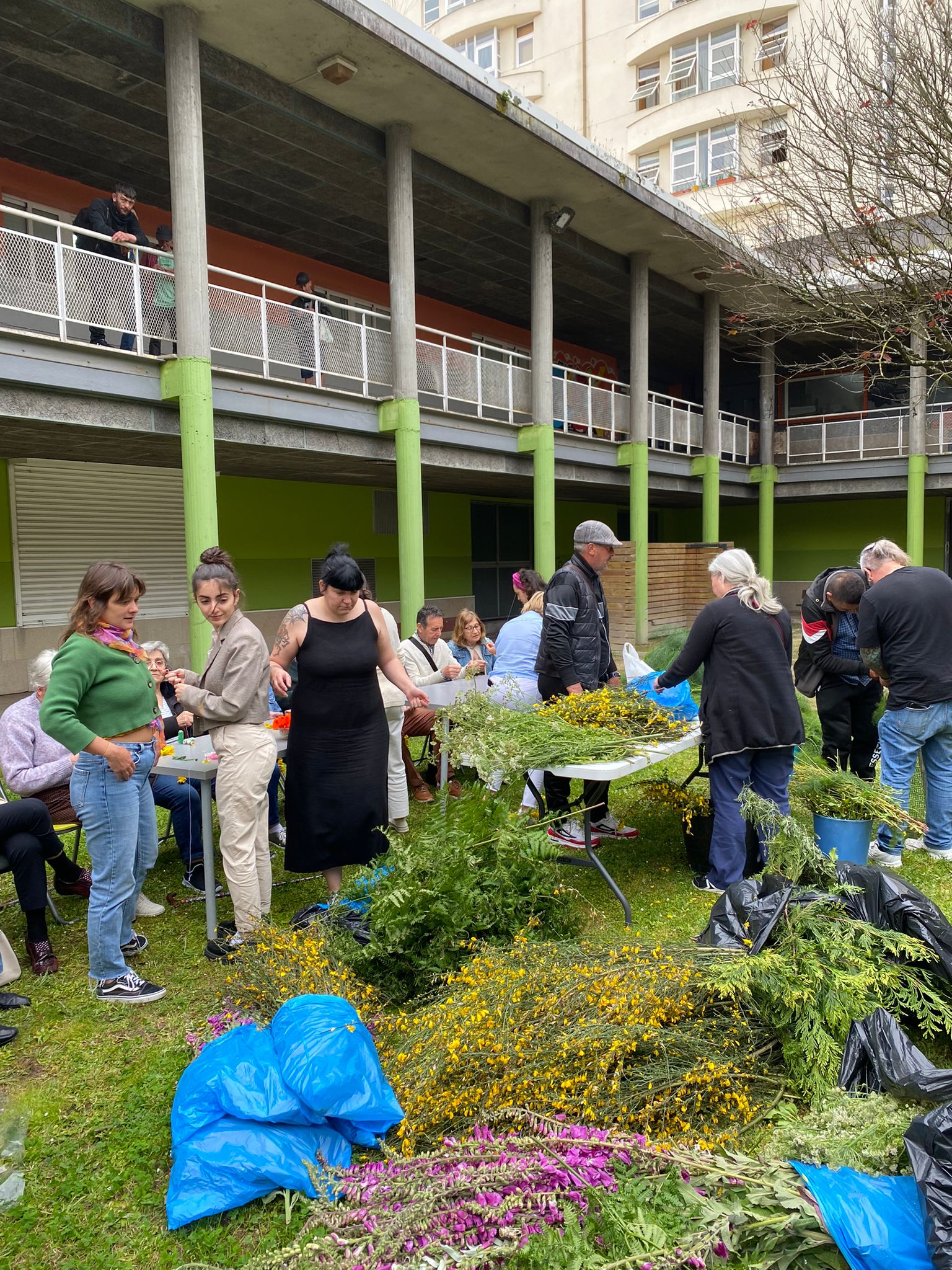 Social Calvario Os Maios