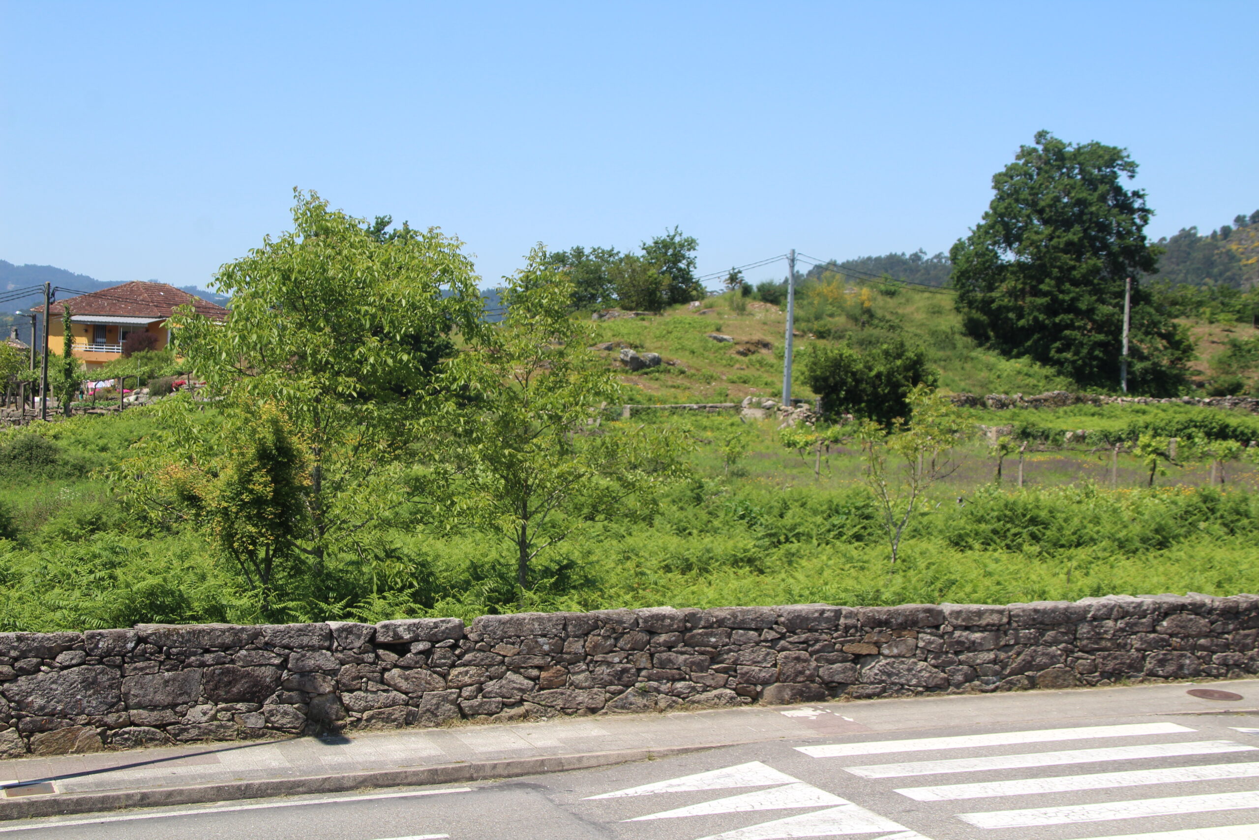 terreos do centro de saúde