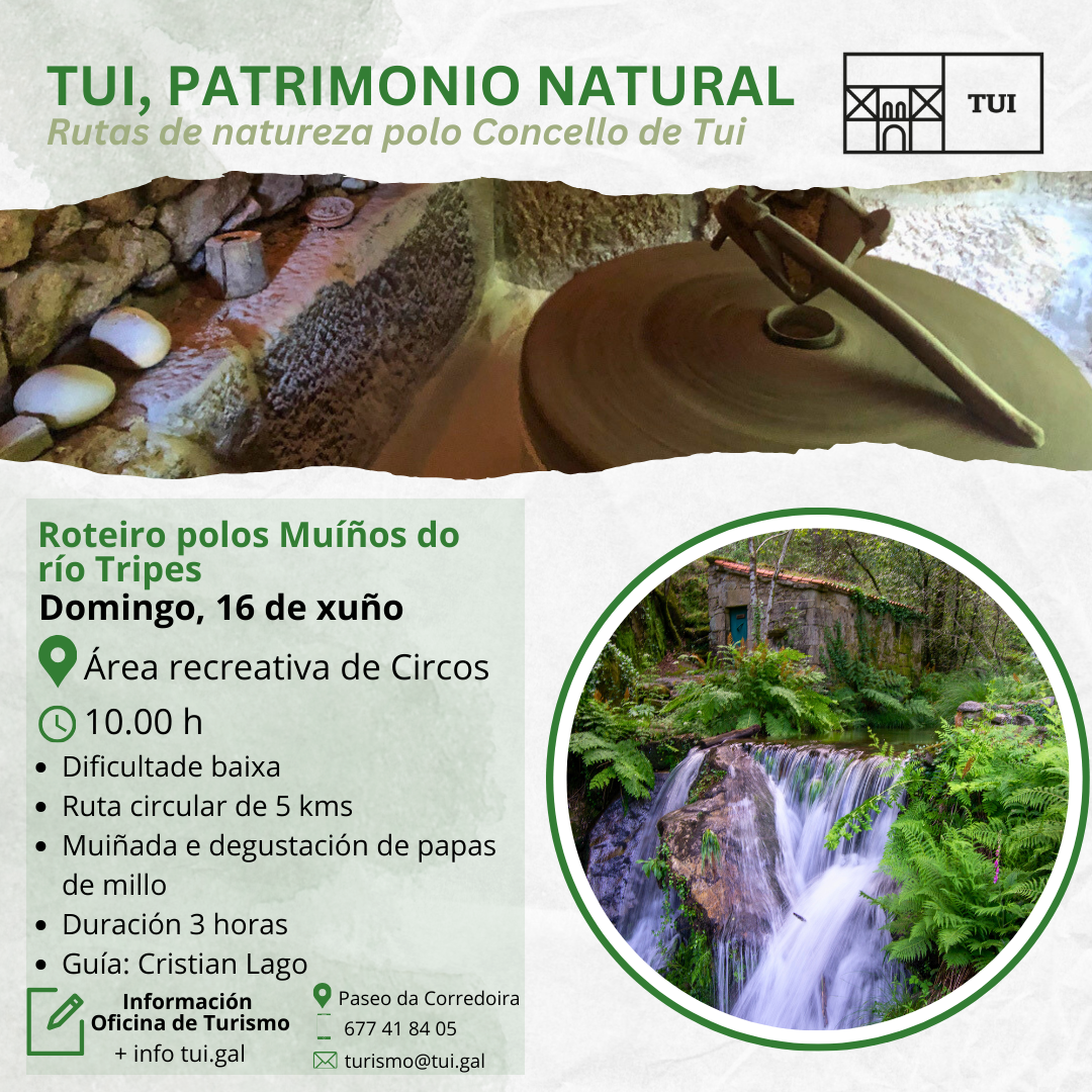 11062024 Cartel Roteiro Tripes