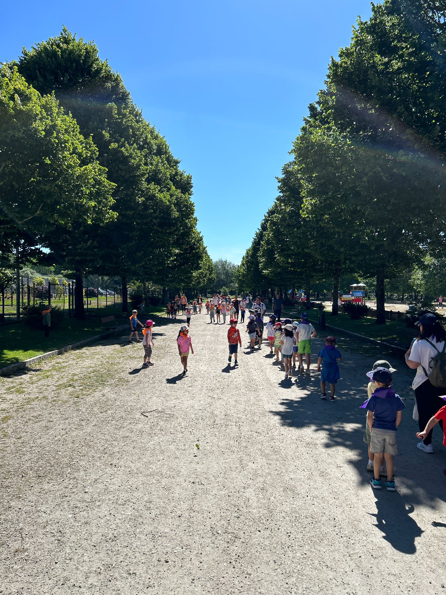 31-05-24_Xuntanza Escolar 4